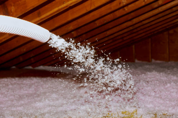 Best DIY Insulation Kits and Guidance in Burlington, OH
