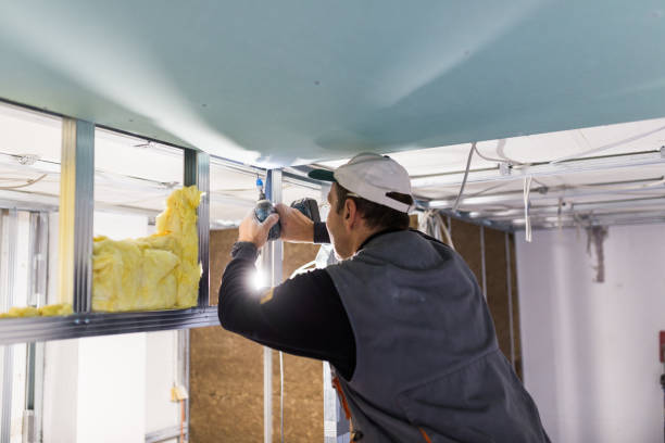 Best Insulation Maintenance and Repair in Burlington, OH